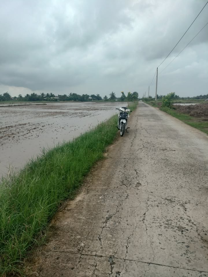 Đất nền Tân Điền Gò Công Đông 120m² giá chỉ 260 triệu - Sổ đỏ chính chủ!