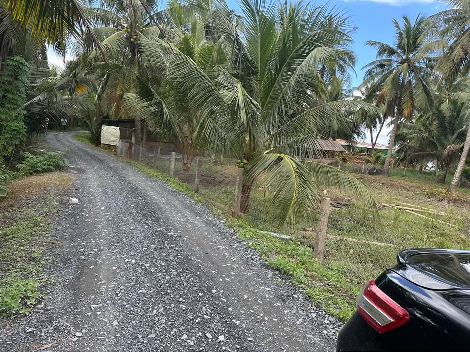 Đất nền 899m² mặt tiền đường Đá Xanh, 450 triệu - Chính chủ cần bán gấp!