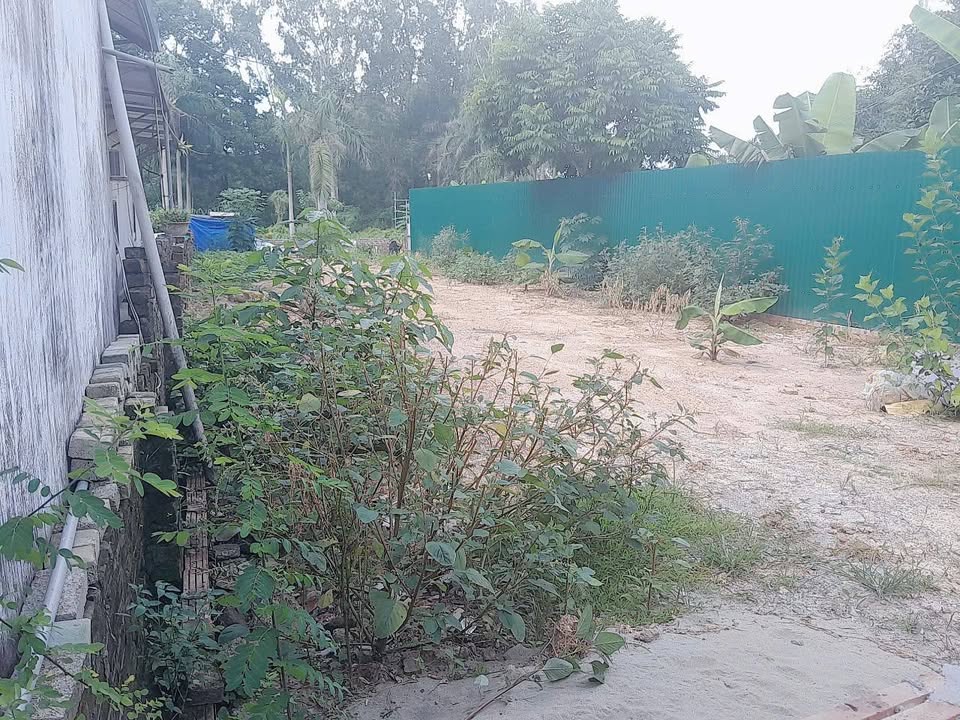 Nhà riêng Vĩnh Thanh Đông Anh 76m² giá thỏa thuận - Ngõ ô tô thông rộng rãi!