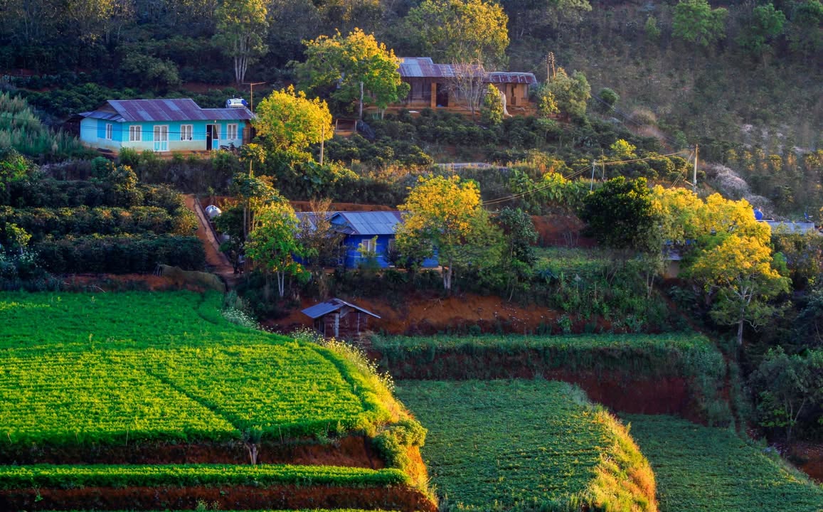 Đất nền Xuân Thọ Đà Lạt 1000m² giá 1.59 tỷ - Tiềm năng đầu tư lớn!