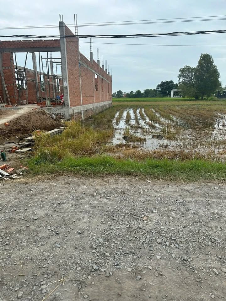 Đất thổ cư ấp Bình Lợi, Đức Hòa 167m² giá 1.3 tỷ - Sổ hồng riêng chính chủ!