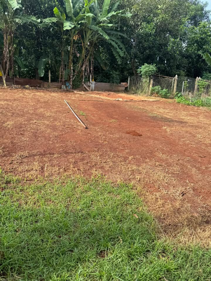 Đất thổ cư tại Cư Suê 126m² giá 450 triệu - Tiềm năng đầu tư tuyệt vời!