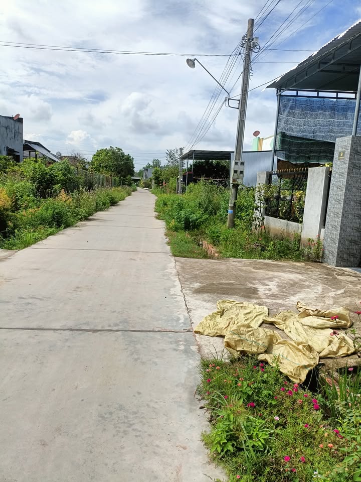 Đất thổ cư Nam Chính, Đức Linh 378m² - Cần bán gấp với giá thỏa thuận!