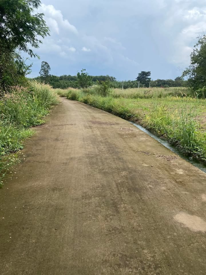 Đất nền Lộc Phú 16.000m² giá 420 triệu - Sổ hồng chính chủ, mặt tiền lớn!