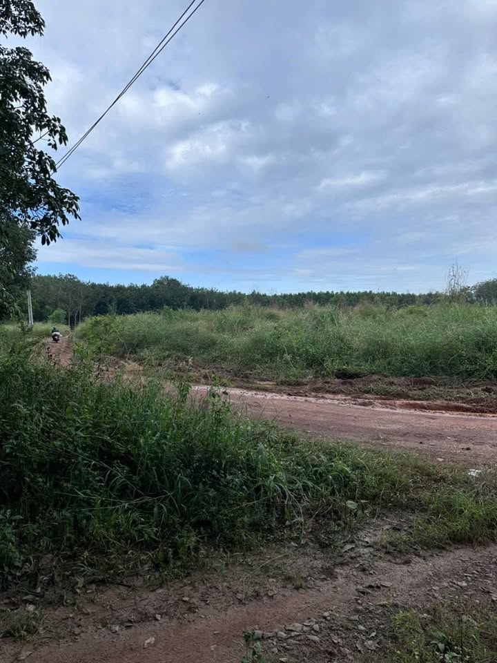 Đất nền Tân Lập, Bắc Tân Uyên, Bình Dương 13.934m² giá 22.5 tỷ - Cơ hội đầu tư tuyệt vời!