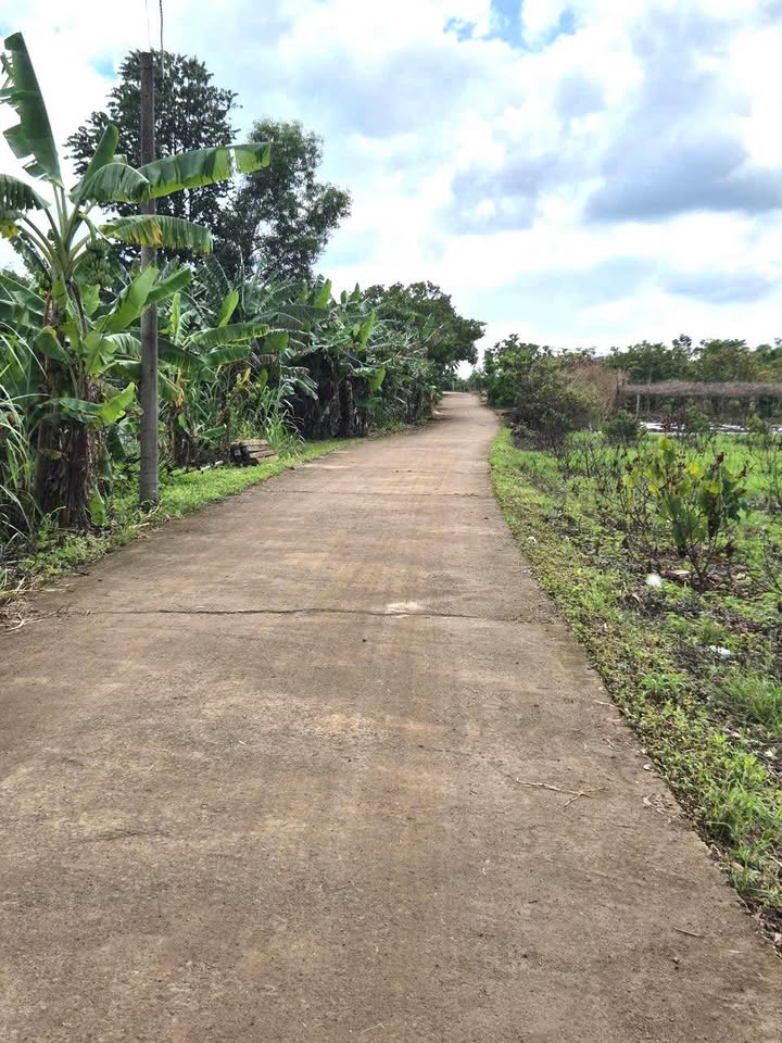 Đất mặt tiền đường bê tông 2400m² giá 1.299 tỷ - Cơ hội đầu tư hấp dẫn!