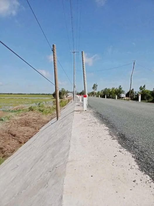 Đất nông nghiệp 300 công Phú Cường Tam Nông - Giá chỉ 200 triệu/công, thương lượng