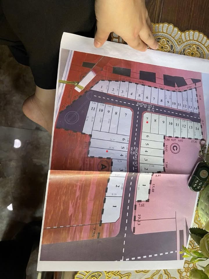 Đất nền Bình Chánh 116m² giá 6 tỷ - Cơ hội đầu tư hấp dẫn!