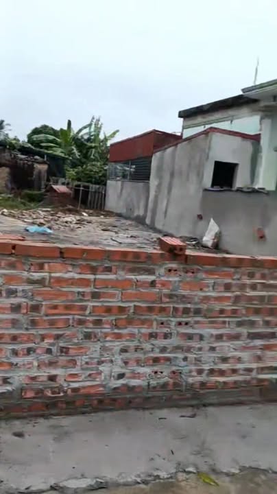 Đất nền Thanh Lương, Vĩnh Bảo 110m² - Khu vực phát triển sôi động!