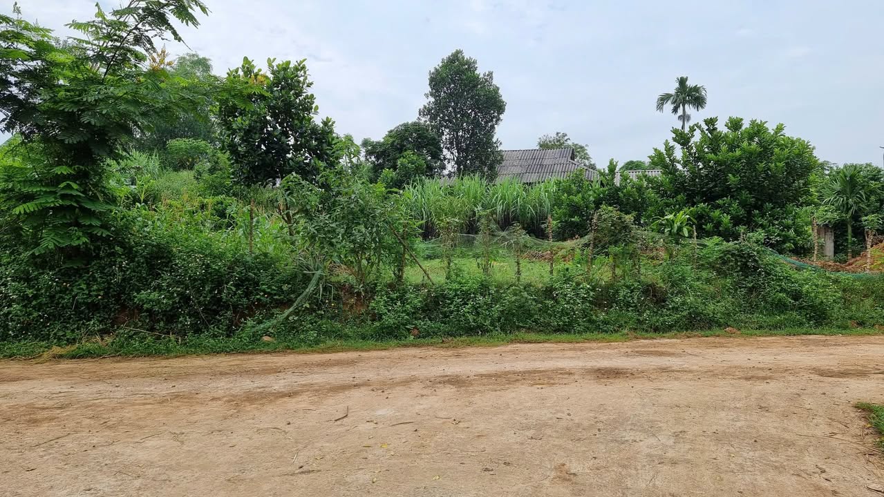 Đất nền xóm Chù Bụa, Mỹ Hoà, Tân Lạc, 1635m² - Sổ đỏ chính chủ, giá chỉ 1 tỷ!