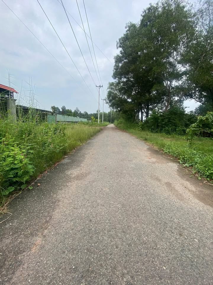 Đất trồng cây Thái Mỹ Củ Chi 5139m² giá chỉ 1 triệu/m² - Cơ hội đầu tư tuyệt vời!