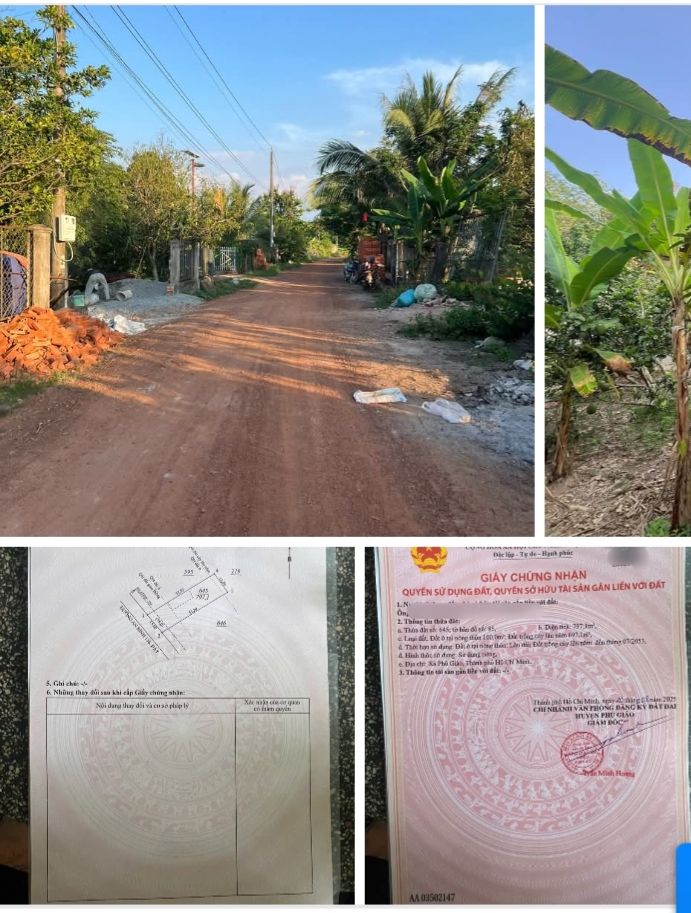 Đất thổ cư mặt tiền đường 136 An Bình 795m² giá 1.65 tỷ - Đầu tư sinh lời hấp dẫn!