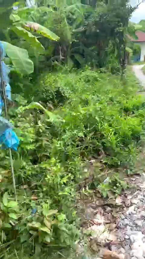 Đất nền 411m² An Bình, Ninh Kiều - Giá tốt, Sổ đỏ chính chủ!