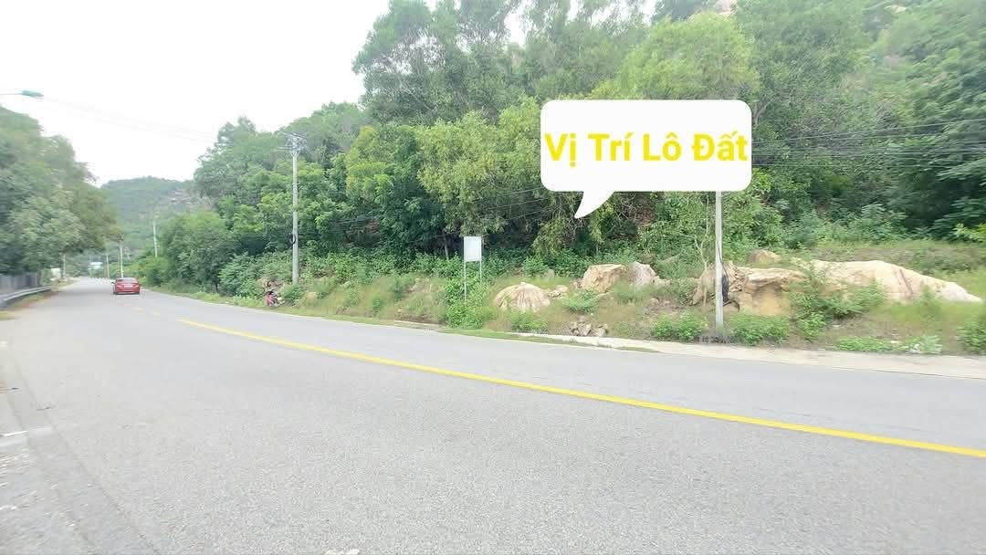 Đất mặt tiền ĐT.702 Cam Lập 4000m² giá 2.2 tỷ - View biển cực đẹp, đầu tư Homestay!