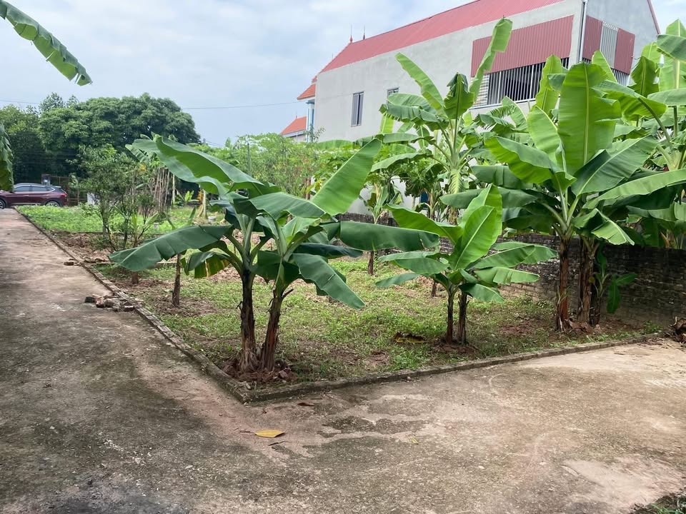 Đất thổ cư Phúc Lộc - Phúc Thọ 41m² giá 1 tỷ - Cơ hội đầu tư hấp dẫn!