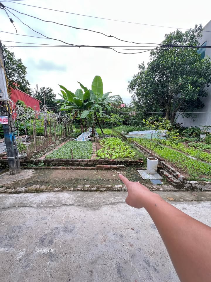 Đất nền Ngọc Tảo, Phúc Thọ 76m² giá 2.3 tỷ - Đầu tư sinh lời ngay!