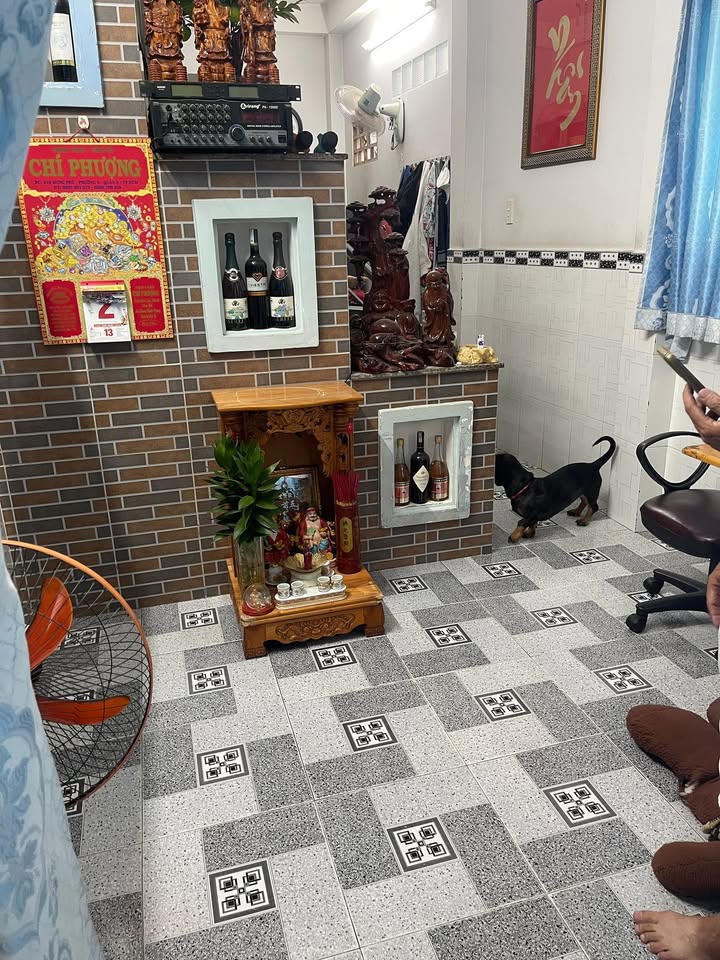 Nhà hẻm Hưng Phú, P9, Quận 8, 25m² giá 3.8 tỷ - Đúc kiên cố, vào ở ngay!