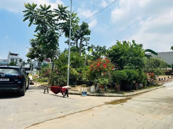 Đất nền TDP Phú Mỹ 2, Bắc Giang 71m² giá 3 tỷ - Đầu tư sinh lời ngay!