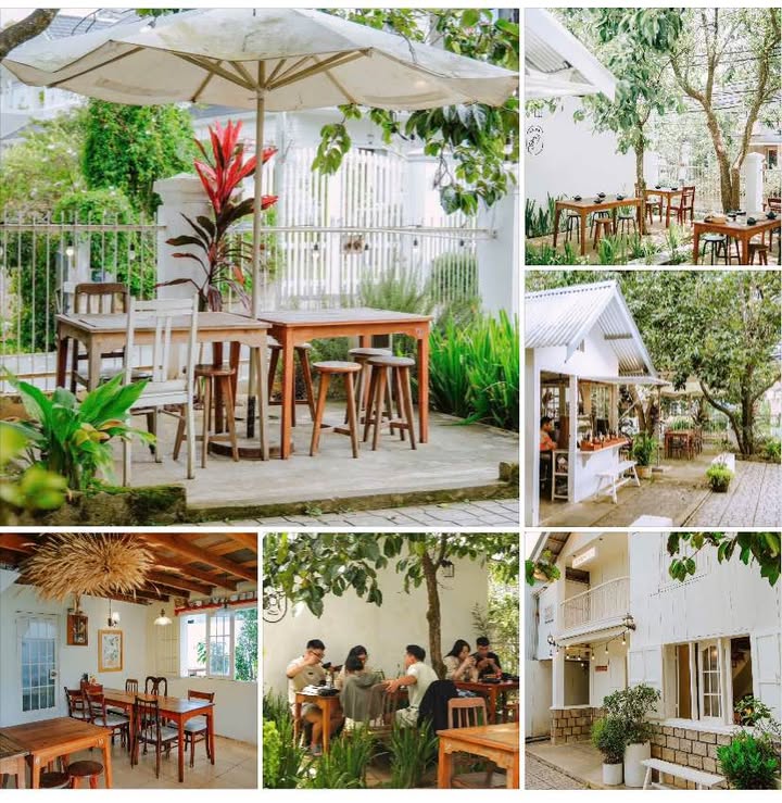 Cho thuê mặt bằng 300m² đường Hàn Thuyên, Đà Lạt - Vị trí đắc địa, sẵn sàng kinh doanh!