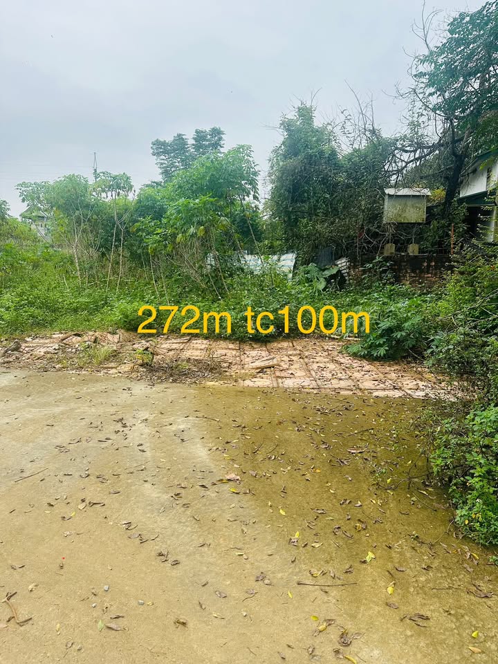 Lô đất đẹp 272m² xã Phú Cát, Quốc Oai giá chỉ 5.44 tỷ - Cơ hội đầu tư không thể bỏ lỡ!