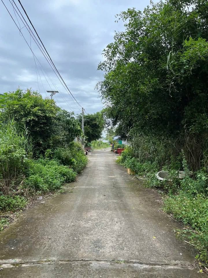 Đất nền biệt thự phường Thanh Đức, Vĩnh Long 288m² giá 1.3 tỷ - Đầu tư sinh lời ngay!