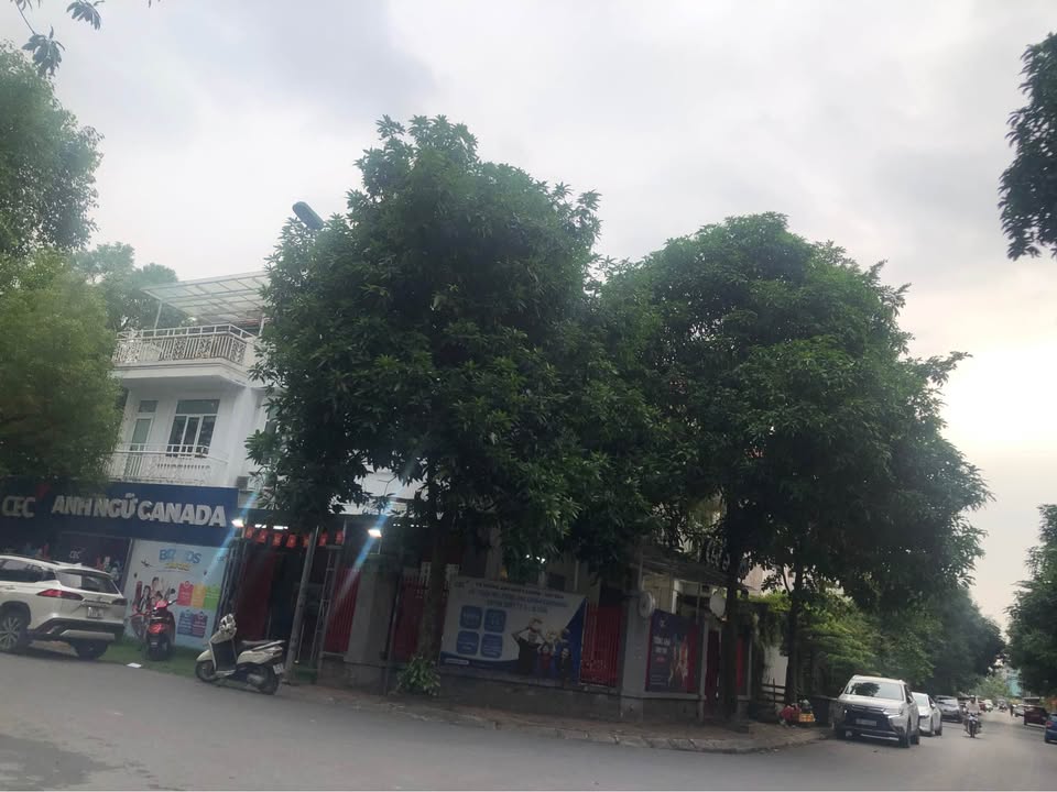 Bán biệt thự Làng Việt Kiều Châu Âu Mộ Lao 135m² giá 39.5 tỷ - Vị trí kinh doanh đắc địa!