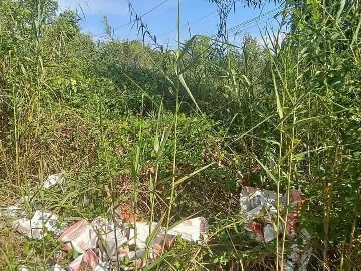 Đất thổ cư 60.75m² tại đường Trương Phùng Xuân, Cà Mau - Giá 450 triệu, sổ đỏ chính chủ!