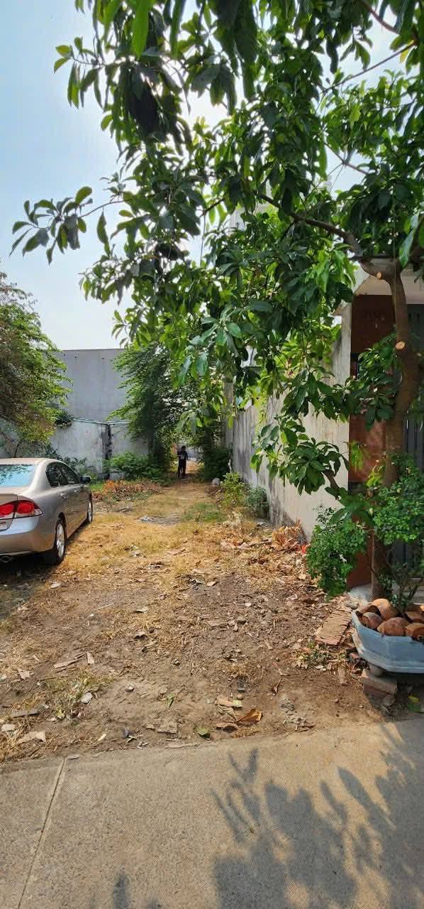 Đất thổ cư 200m² tại Bình Chánh giá 3.8 tỷ - Cơ hội đầu tư tốt!