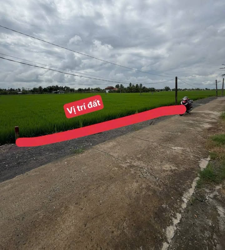 Đất thổ cư mặt tiền đường Lê Văn Hiếu 1000m² giá 1.1 tỷ - Đầu tư sinh lời tại Tây Ninh!