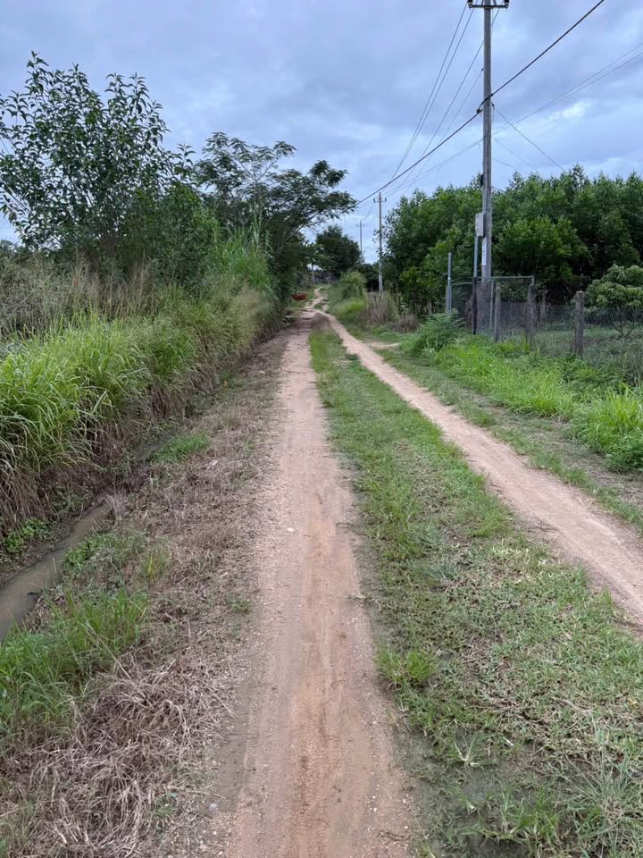 Đất nền Ea Knop 500m² giá 2 tỷ - Đầu tư sinh lời hấp dẫn!