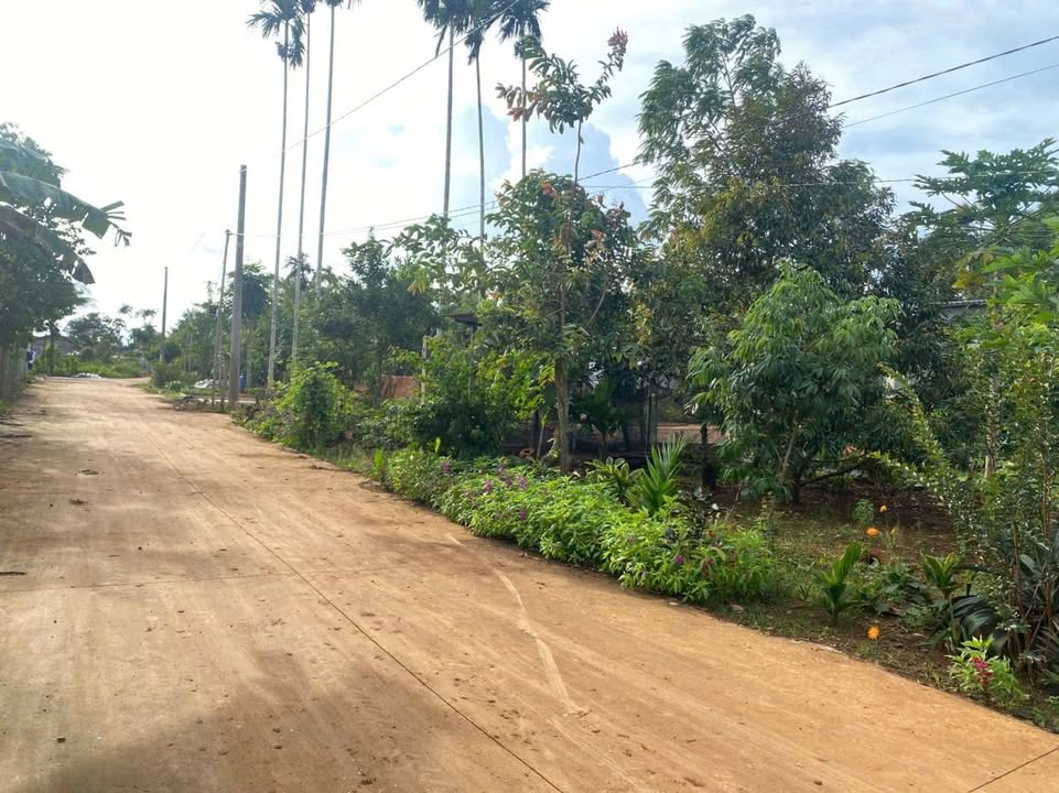 Đất mặt tiền KA2, phường Tân An, 210m² chỉ 1.59 tỷ - Cơ hội đầu tư tuyệt vời!