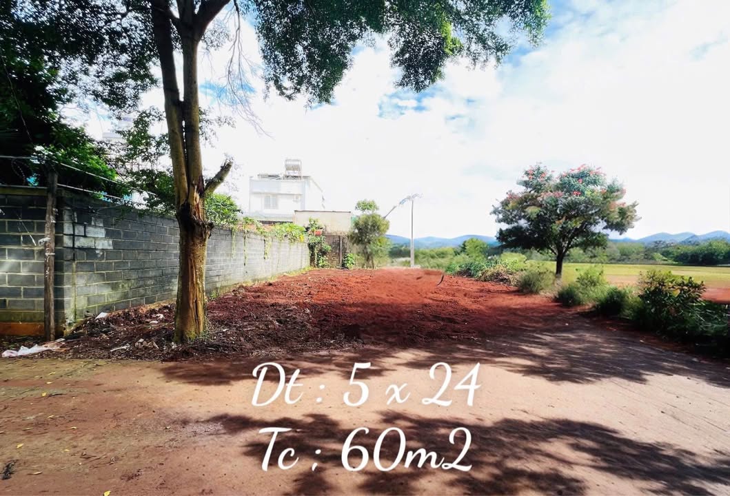 Đất nền hẻm 137 Nguyễn Hữu Thấu, Tân Lợi, 120m² giá 3.79 tỷ - Sổ hồng chính chủ!