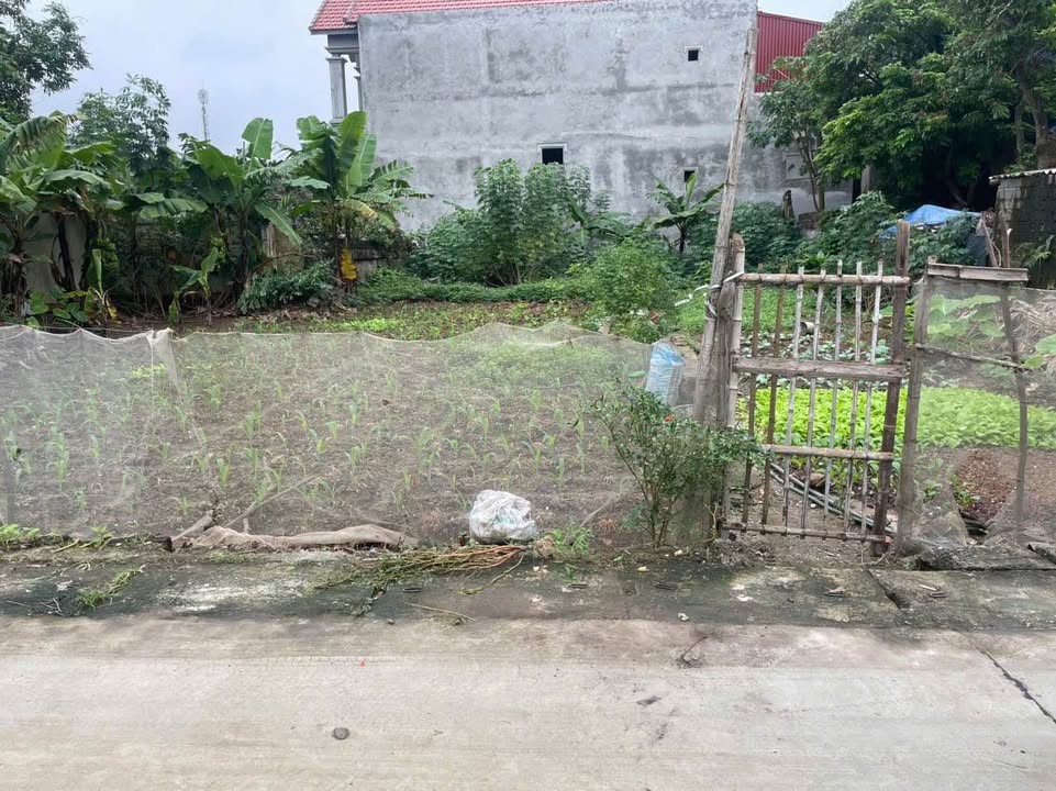 Đất nền đẹp Diên Hồng, Kim Động, Hưng Yên 354m² - Đầu tư sinh lời lý tưởng!