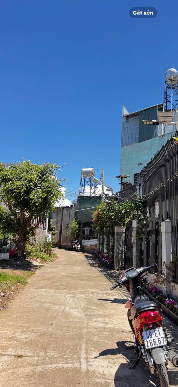 Đất nền Hẻm 49 đường Trần Phú, Liên Nghĩa 464m² giá chỉ 5 tỷ - Cơ hội đầu tư tuyệt vời!