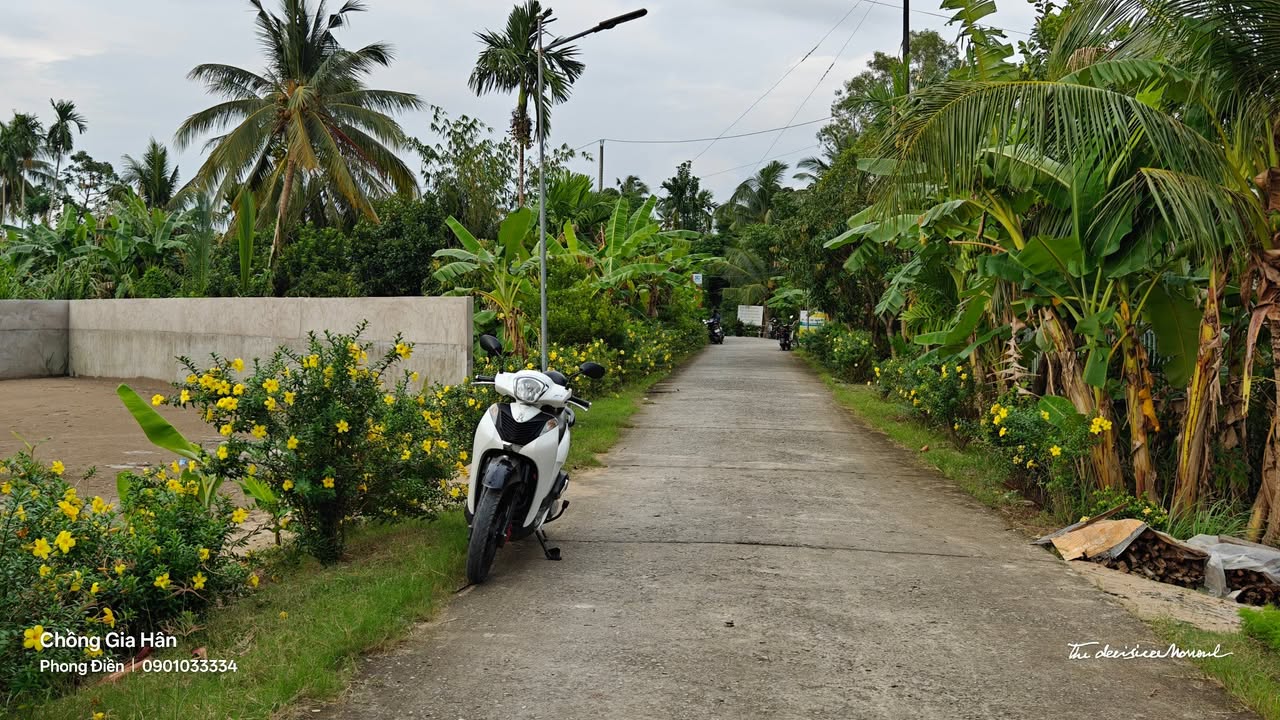 Đất nền 300m² Nhơn Ái, Phong Điền - Giá chỉ 950 triệu, sẵn sàng xây dựng!