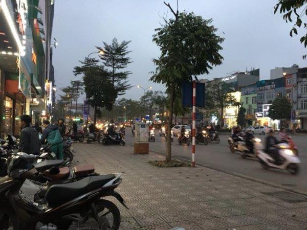 Mặt phố Trần Quốc Hoàn 43m² giá 37 tỷ - Kinh doanh sầm uất, vỉa hè rộng!