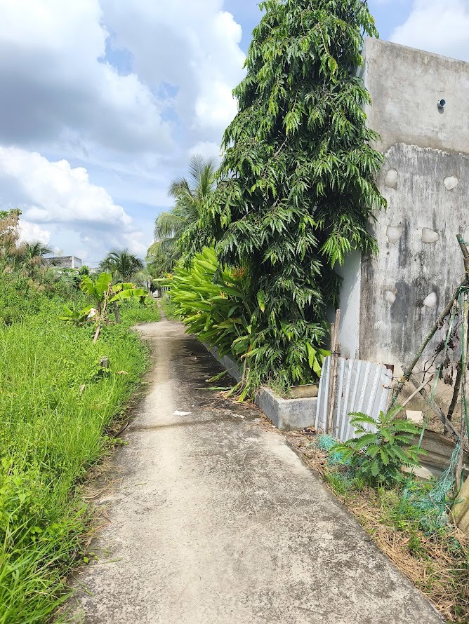 Đất nền xã Phú Nhuận Bến Tre 322m² giá 650 triệu - Sổ đỏ chính chủ!