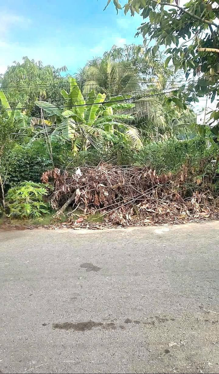 Đất nền mặt tiền đường nhựa Mỹ Thạnh An, Bến Tre 179m² - Giá chỉ 1.074 tỷ!