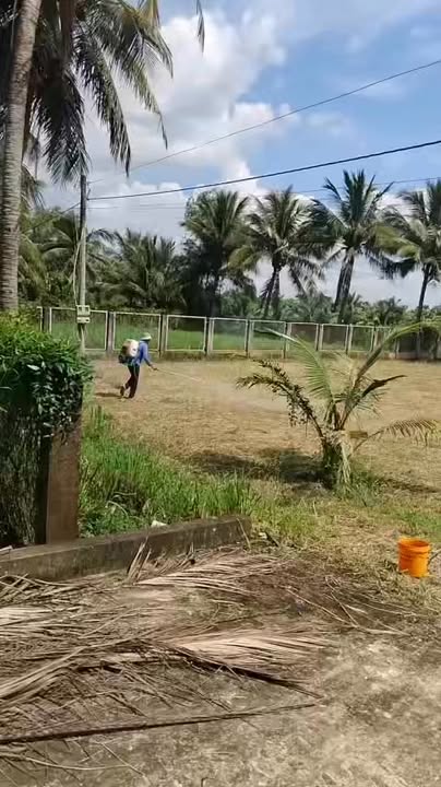 Đất nền 836m² xã Mỹ Chánh, huyện Ba Tri, giá 1.2 tỷ - Cơ hội đầu tư hấp dẫn!