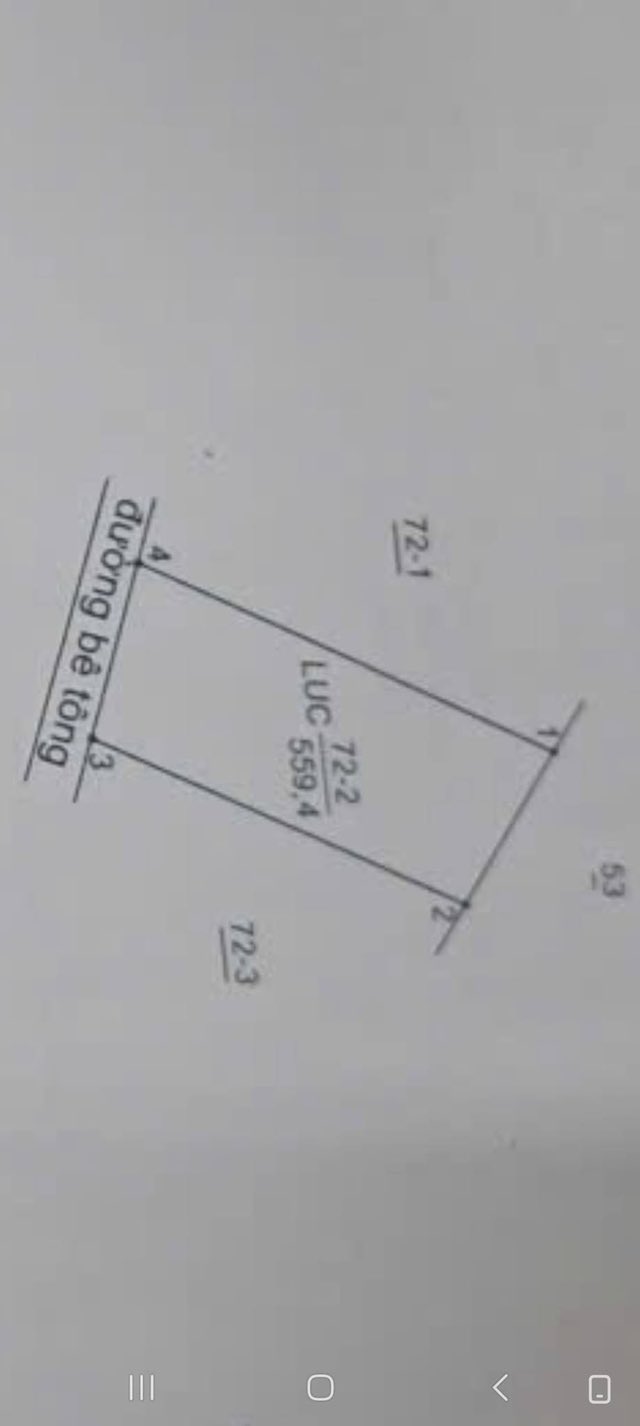 Đất ruộng 560m² tại ấp Bà Trà, xã Tân Đông chỉ 300 triệu - Đầu tư sinh lời!