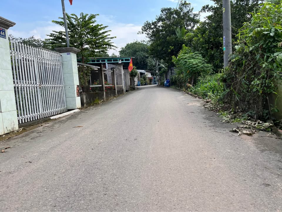 Đất vườn Hòa Lợi Bến Cát 1239m² giá 3.9 tỷ - Cơ hội đầu tư sinh lời cao!