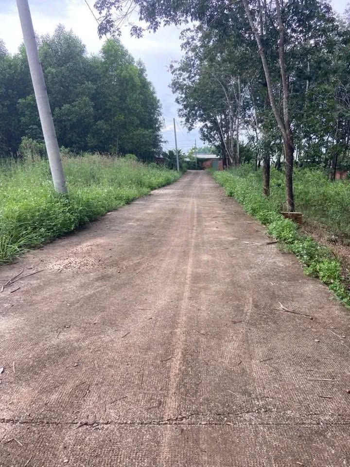 Đất nền 531m² xã Trị An, Vĩnh Cửu - Sổ hồng riêng, giá chỉ 1.35 tỷ!