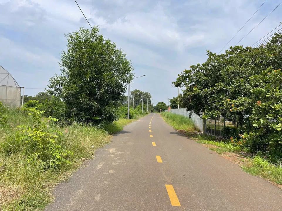 Đất nền Long Tân, Đất Đỏ 587m² giá 1.5 tỷ - Đầu tư sinh lời ngay!