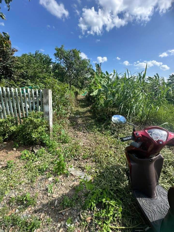 Đất thổ cư tại hẻm Châu Văn Bảy, TP Tân An - 250m² giá chỉ 780 triệu