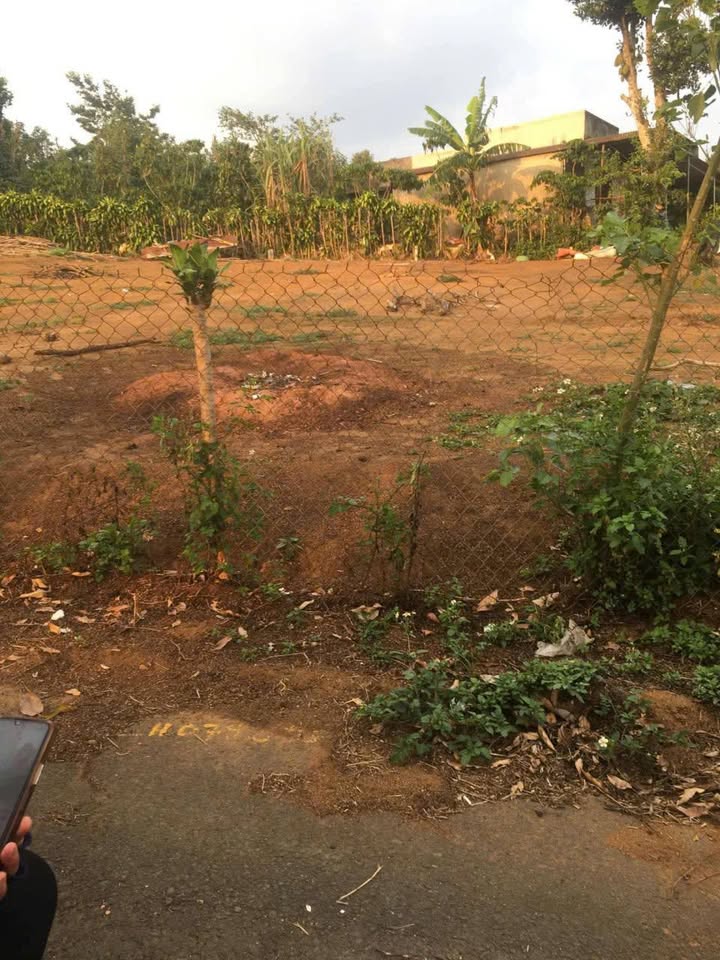 Đất thổ cư Lộc Ngãi 125m² giá 450 triệu - Cơ hội đầu tư không thể bỏ qua!