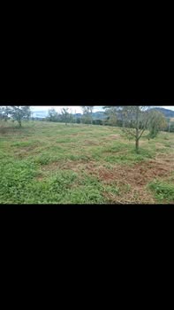 Đất nền Lâm Hà 8000m² giá 2.5 tỷ - Đầu tư sinh lời hấp dẫn!