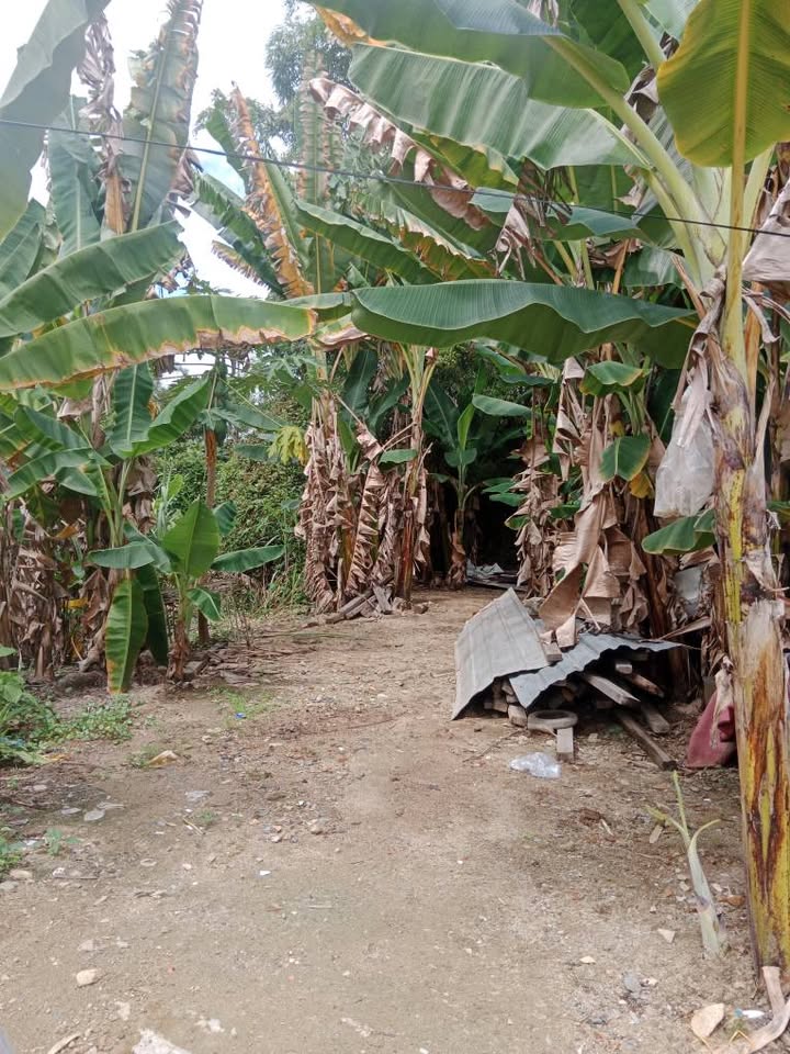 Đất nền Phước Đồng Nha Trang 91m² giá 8xx triệu - Sổ hồng riêng, vị trí trung tâm!