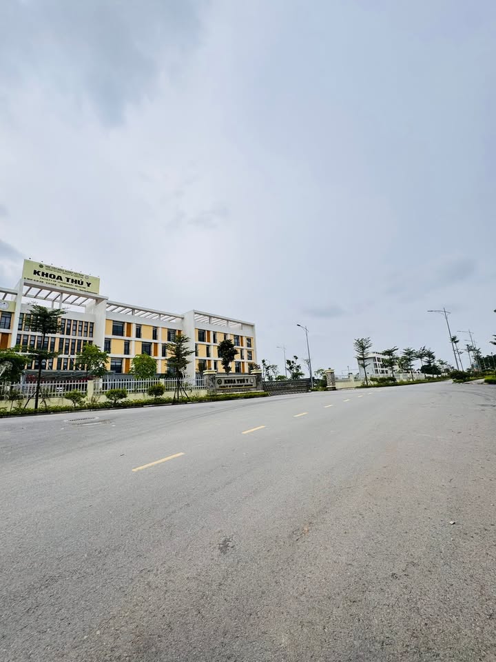 Nhà 3 tầng Trâu Quỳ 42m² giá 6 tỷ - Ô tô vào tận nhà, tiềm năng sinh lời lớn!