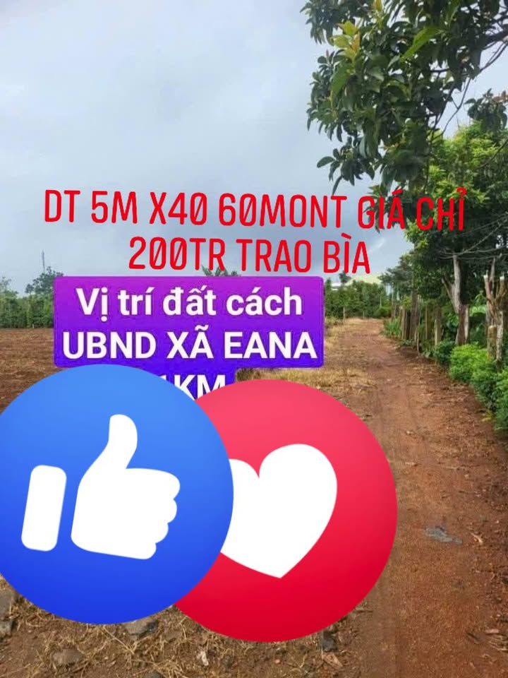 Đất nền chính chủ Ea Na 200m² giá chỉ 200 triệu - Cơ hội đầu tư hấp dẫn!