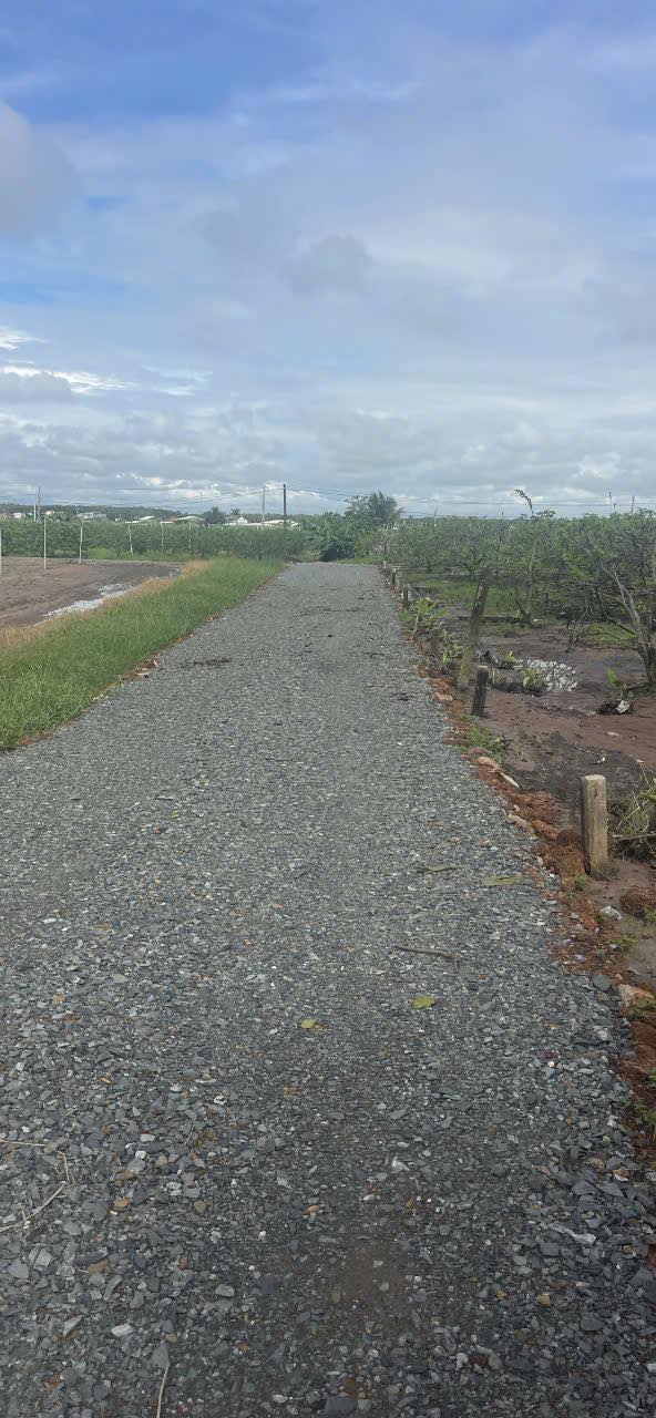 Đất thổ cư Bình Minh, Tân Uyên 150m² chỉ từ 2xx triệu - Đầu tư ngay!